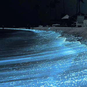 肉体裸交做爰性玉
